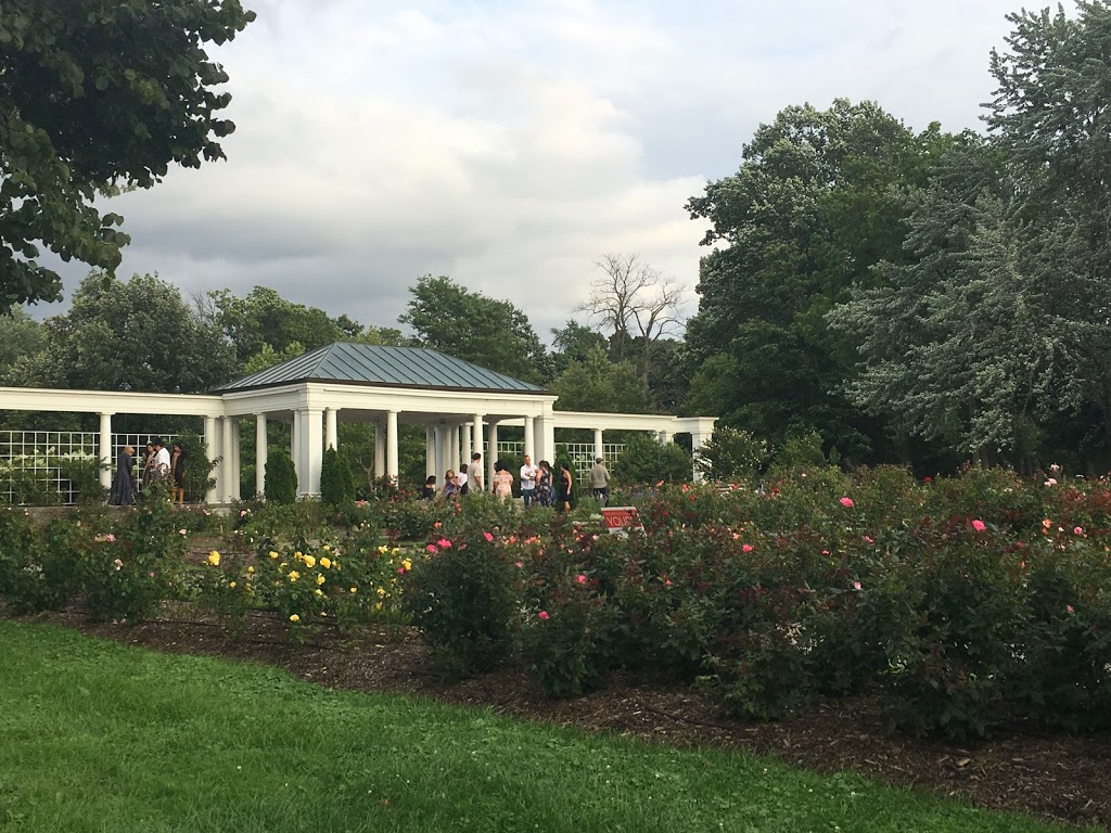 Delaware Park Rose Garden | 199 Lincoln Pkwy, Buffalo, NY 14222, USA | Phone: (716) 886-0088