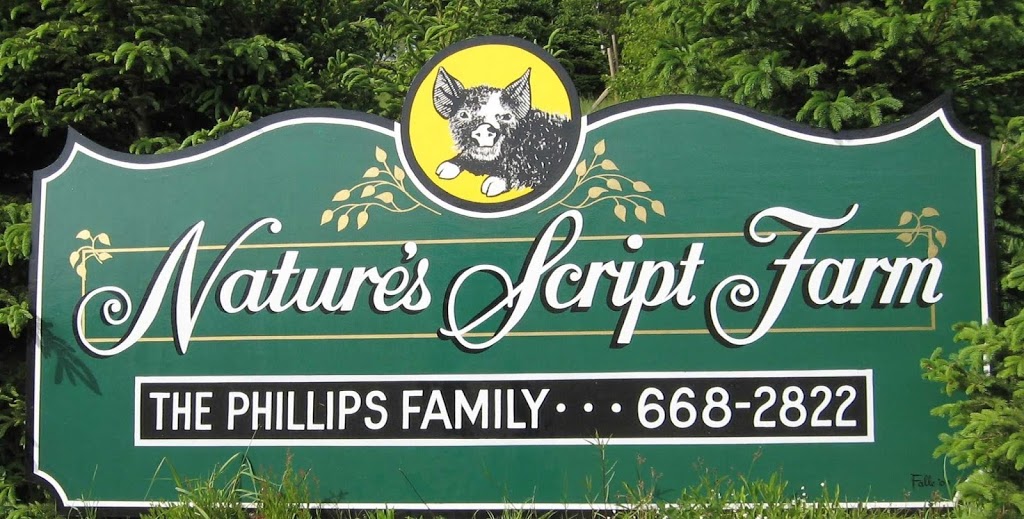 Natures Script Farm | 409 Spencer Cross Road, Great Village, NS B0M 1L0, Canada | Phone: (902) 668-2822