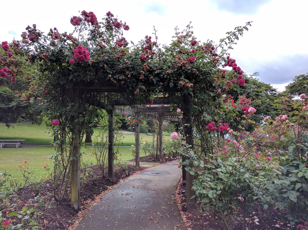 Burnaby Mountain Centennial Rose Garden | 100 Centennial Way, Burnaby, BC V5A 2X9, Canada | Phone: (604) 294-7450