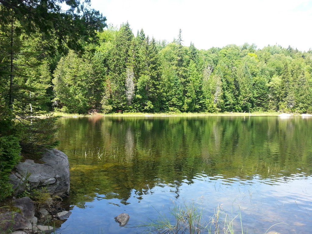 Parc mauricie | Saint-Mathieu-du-Parc, QC G0X 1N0, Canada