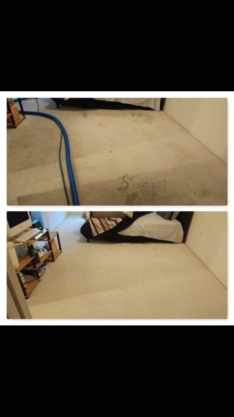 Kings Carpet Cleaning | 17 Roundstone Dr, Brampton, ON L6X 0K7, Canada | Phone: (437) 980-1986