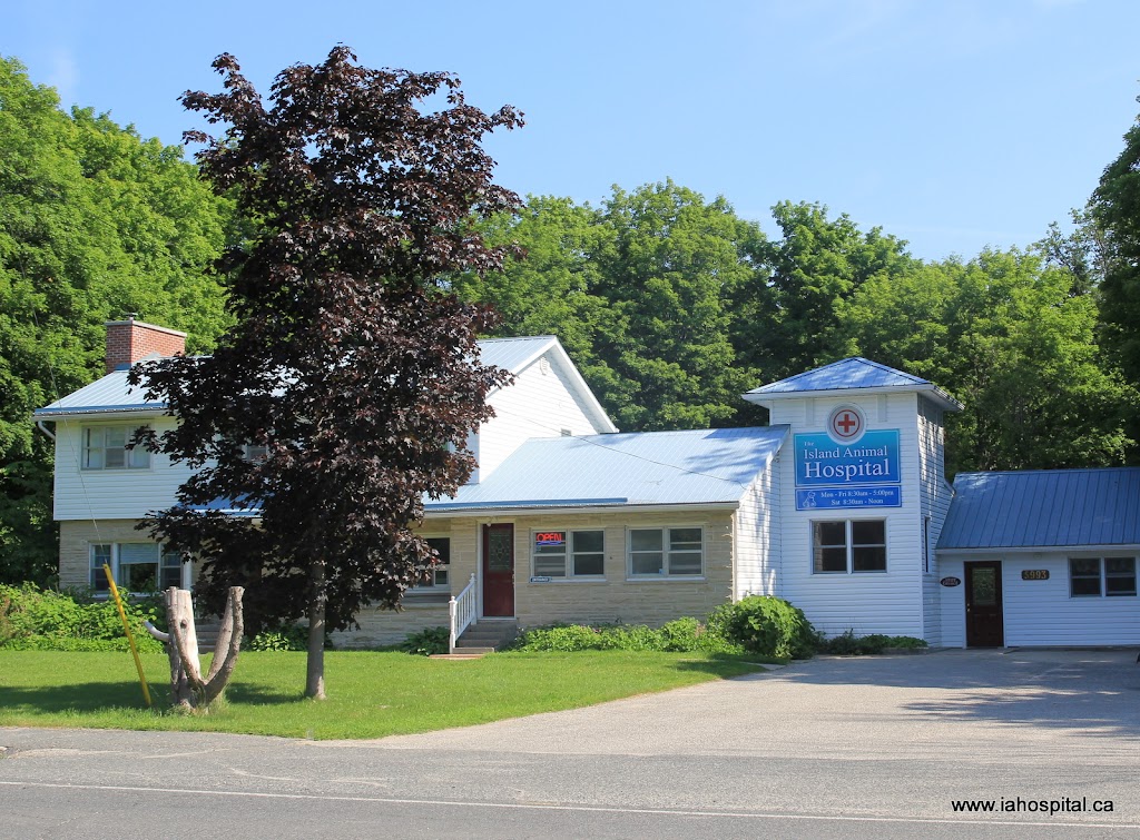 Island Animal Hospital (The) | B, 5993 ON-542, Mindemoya, ON P0P 1S0, Canada | Phone: (705) 377-7200