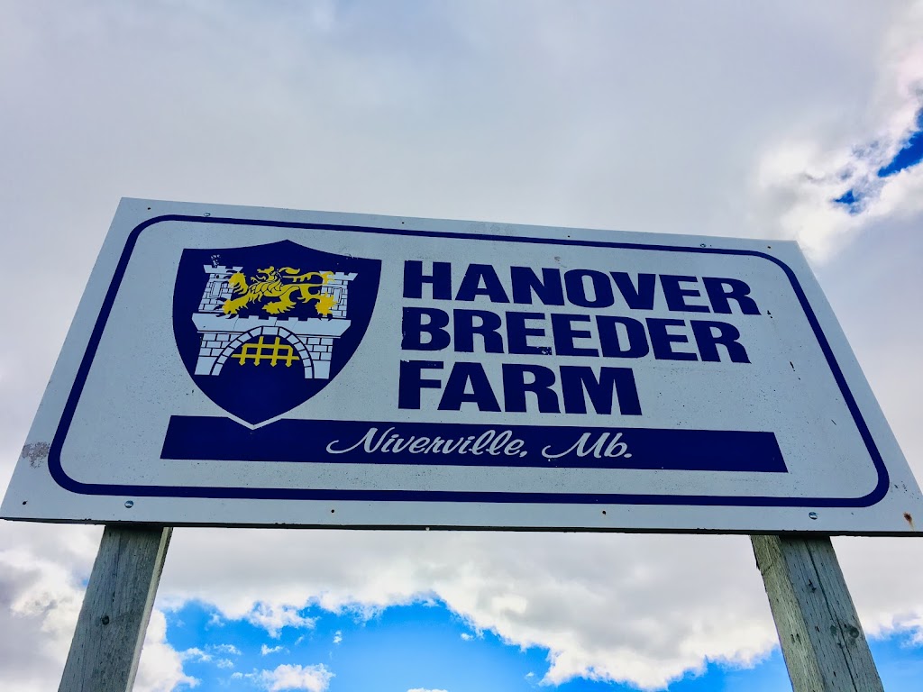 Hanover Breeder Farms Inc. | Hanover, MB R0A 1E0, Canada | Phone: (204) 317-3624