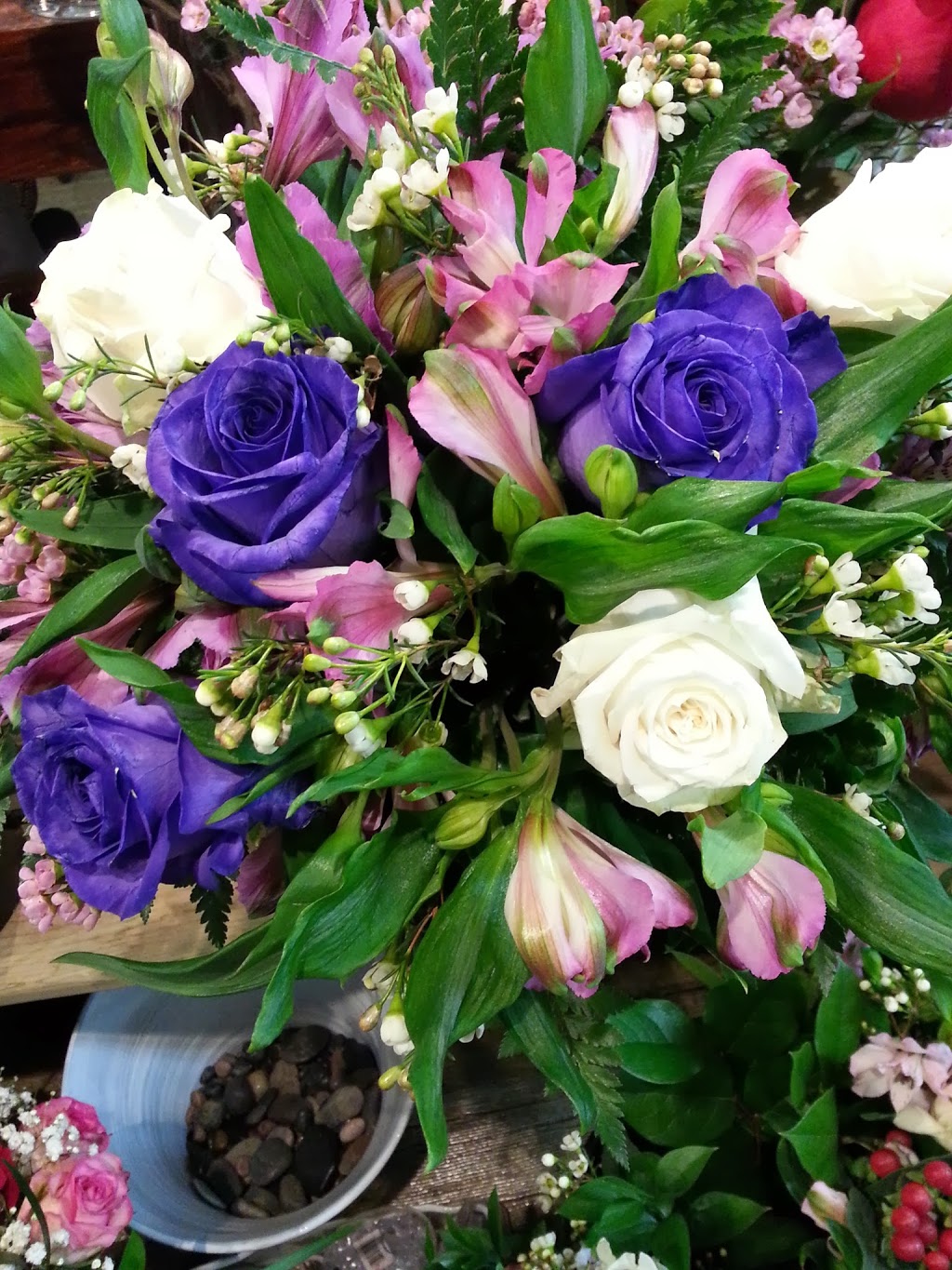 Ashbourne Flowers and Gifts | 3888 Bloor St W, Etobicoke, ON M9B 1L3, Canada | Phone: (416) 231-5351