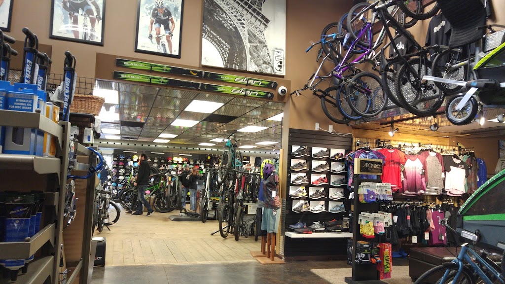 Mud Sweat and Gears | 133 Main Blvd, Sherwood Park, AB T8A 3P3, Canada | Phone: (780) 449-2453