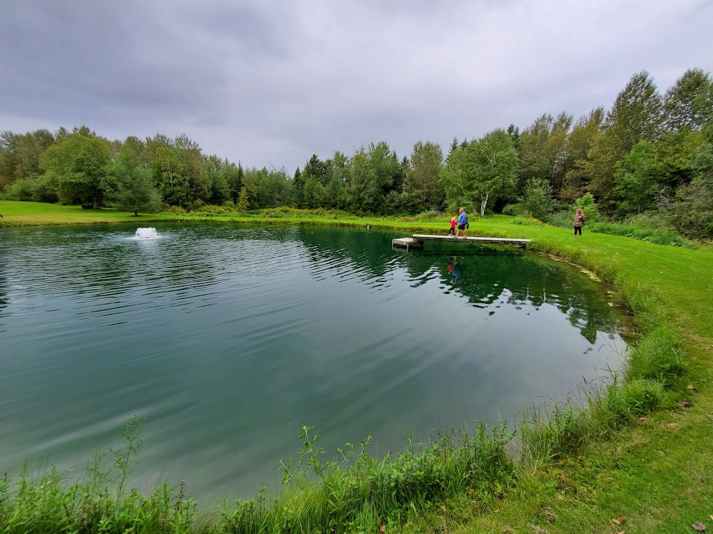 La Ferme Du Pêché Mignon | 110 1er Rang, Saint-Romain, QC G0Y 1L0, Canada | Phone: (418) 486-2451