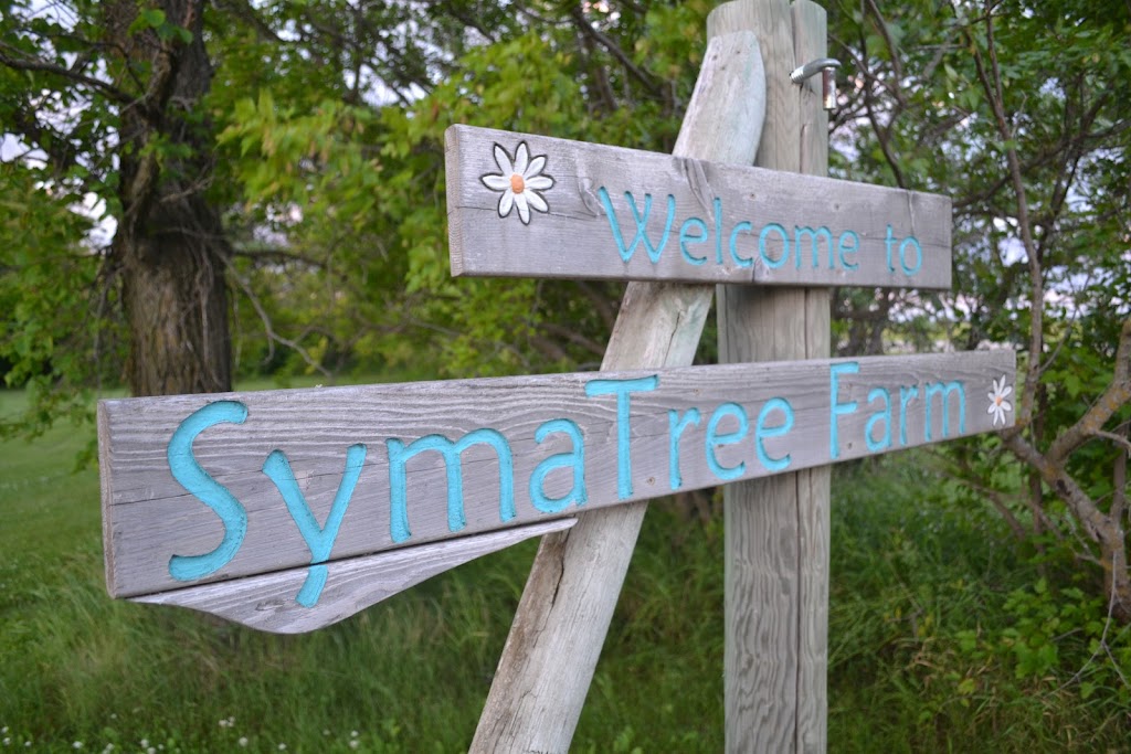 Symatree Farm | 32033 Hazelridge Rd 65N, Oakbank, MB R5N 0E5, Canada | Phone: (204) 755-2656