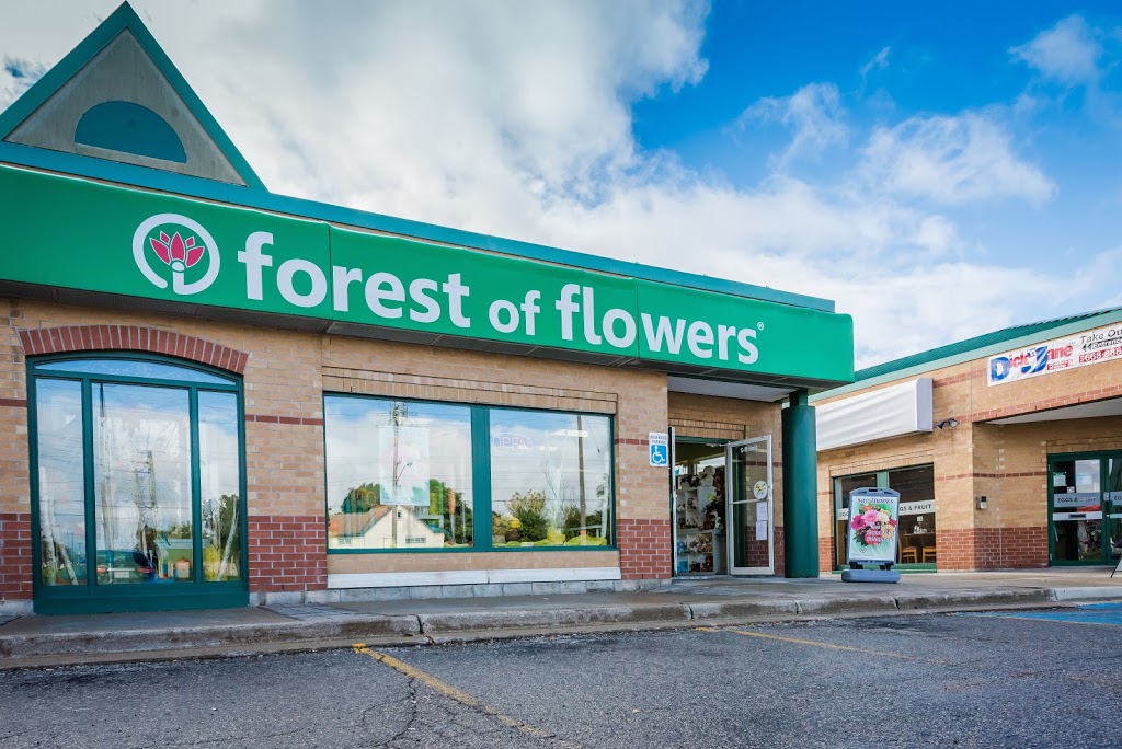 Forest of Flowers | 841 Wellington Rd b2, London, ON N6E 3R5, Canada | Phone: (519) 680-2529