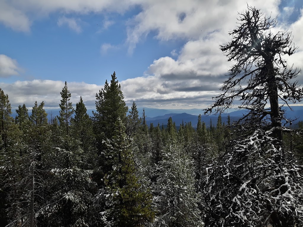 Brent Mountain Protected Area | Apex Mountain Rd, Hedley, BC V0X 1K0, Canada | Phone: (800) 689-9025