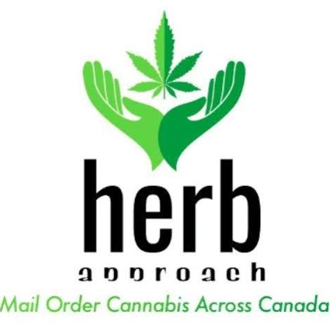 Herb Approach - Buy Weed Online Cambridge (Online Store) | 766 Old Hespeler Rd #201, Cambridge, ON N3H 5L8, Canada | Phone: (226) 242-4924