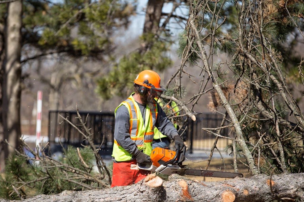 Metzger Tree Service | 196 McIntyre Dr unit 7, Kitchener, ON N2R 1H4, Canada | Phone: (519) 954-5649