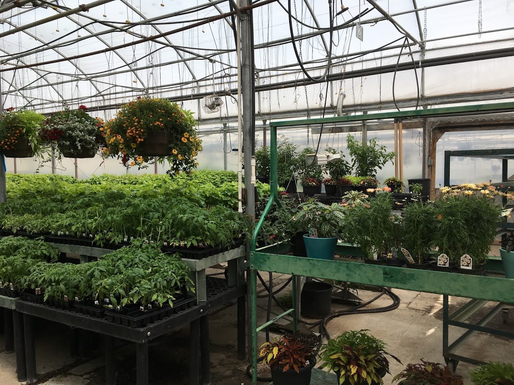 Summerland Greenhouses Ltd | 6711 Canyon View Rd, Summerland, BC V0H 1Z7, Canada | Phone: (250) 494-9441