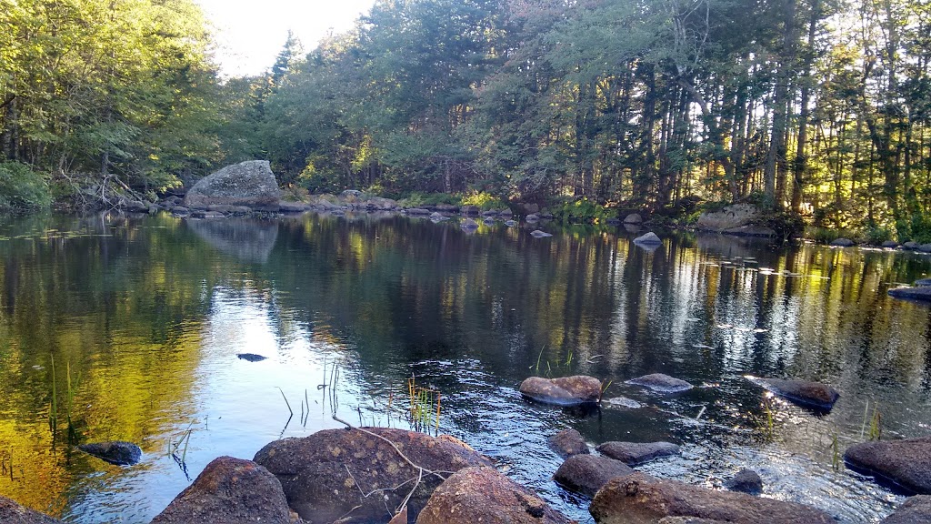 Pockwock Falls Trailhead | 1366 Pockwock Rd, Upper Hammonds Plains, NS B4B 1P2, Canada