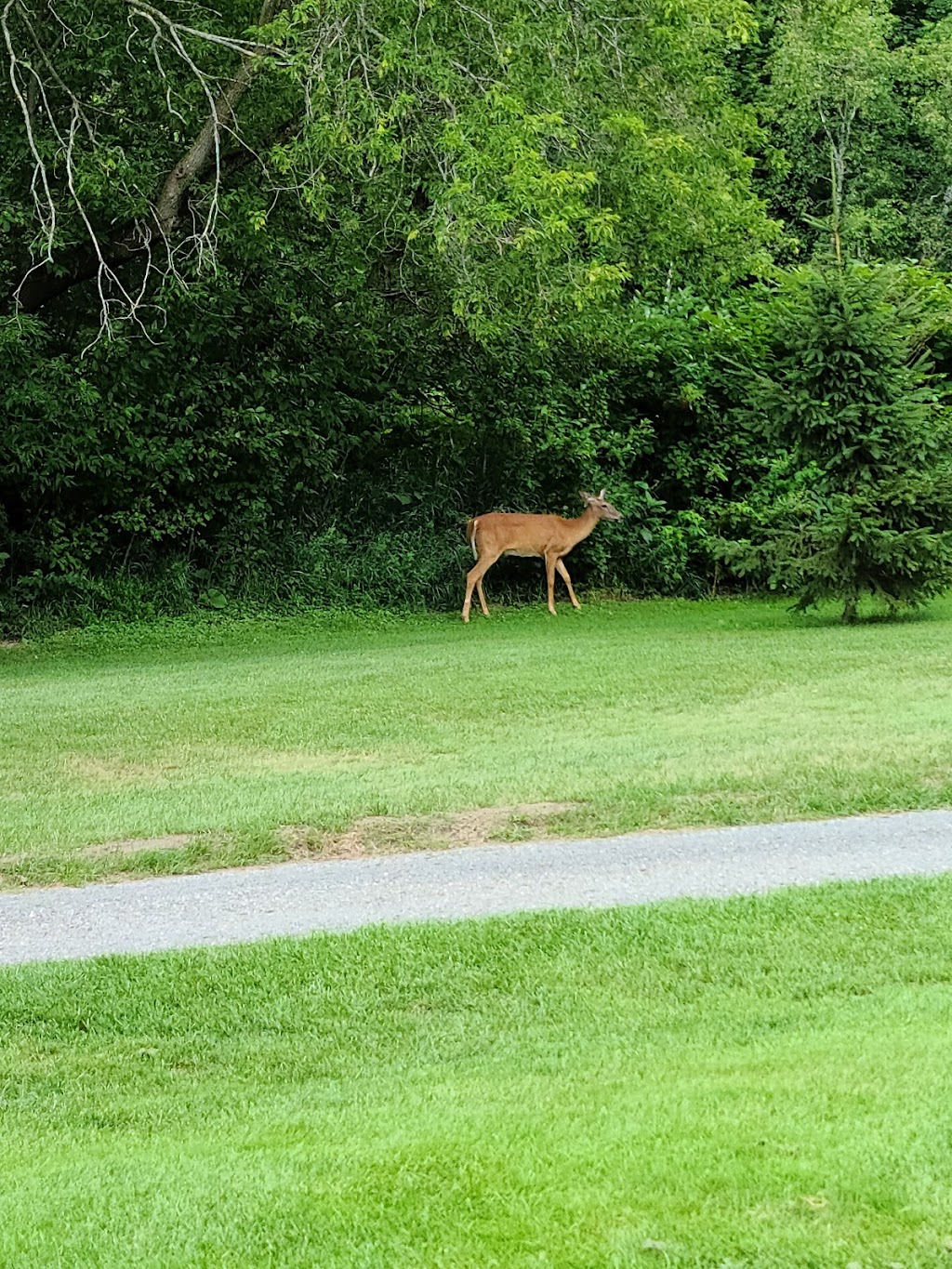 Club De Golf Victoriaville | 223 Rue Perreault, Victoriaville, QC G6P 5E7, Canada | Phone: (819) 752-4907