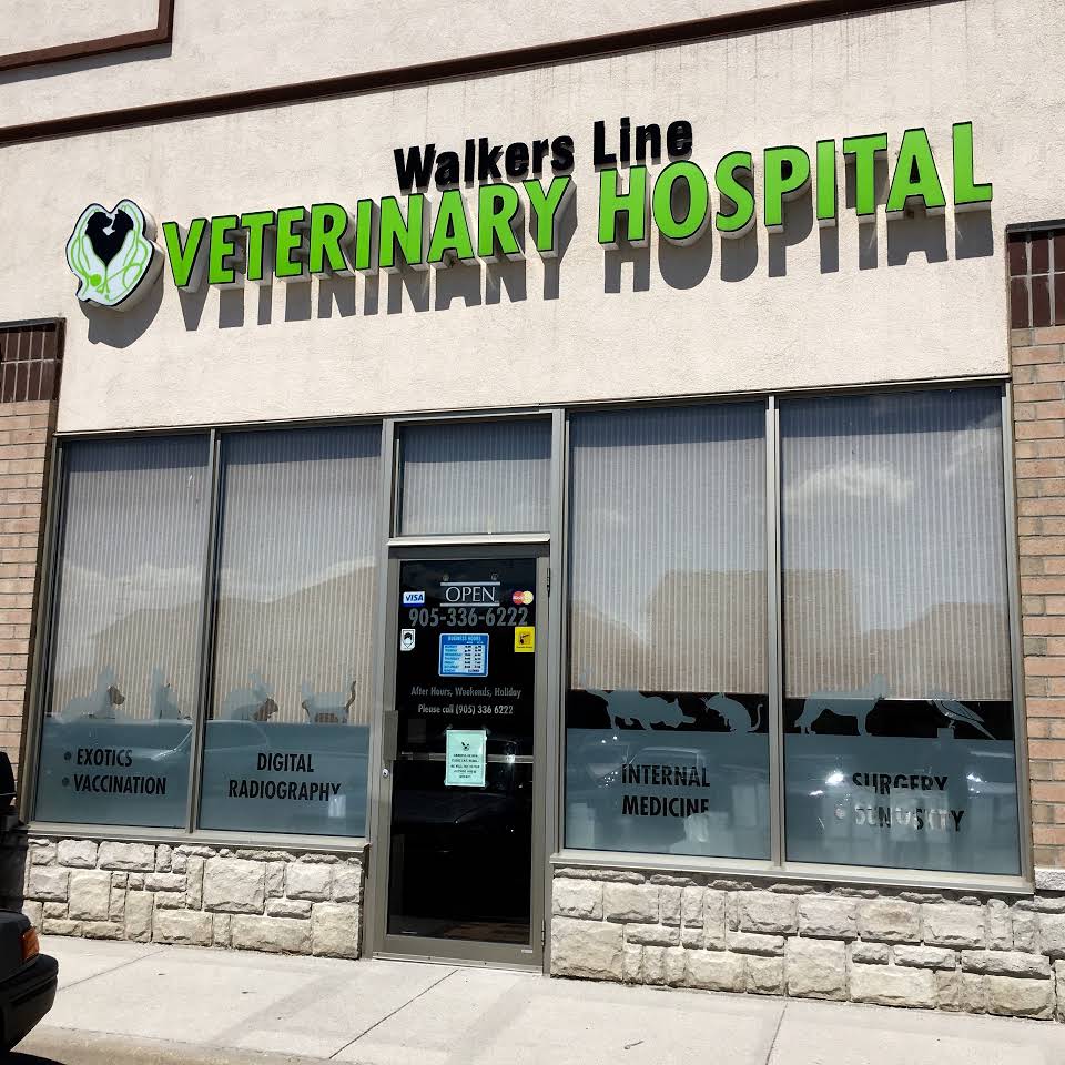 Walkers Line Veterinary Hospital | 4040 Palladium Way # 7, Burlington, ON L7M 0V6, Canada | Phone: (905) 336-6222