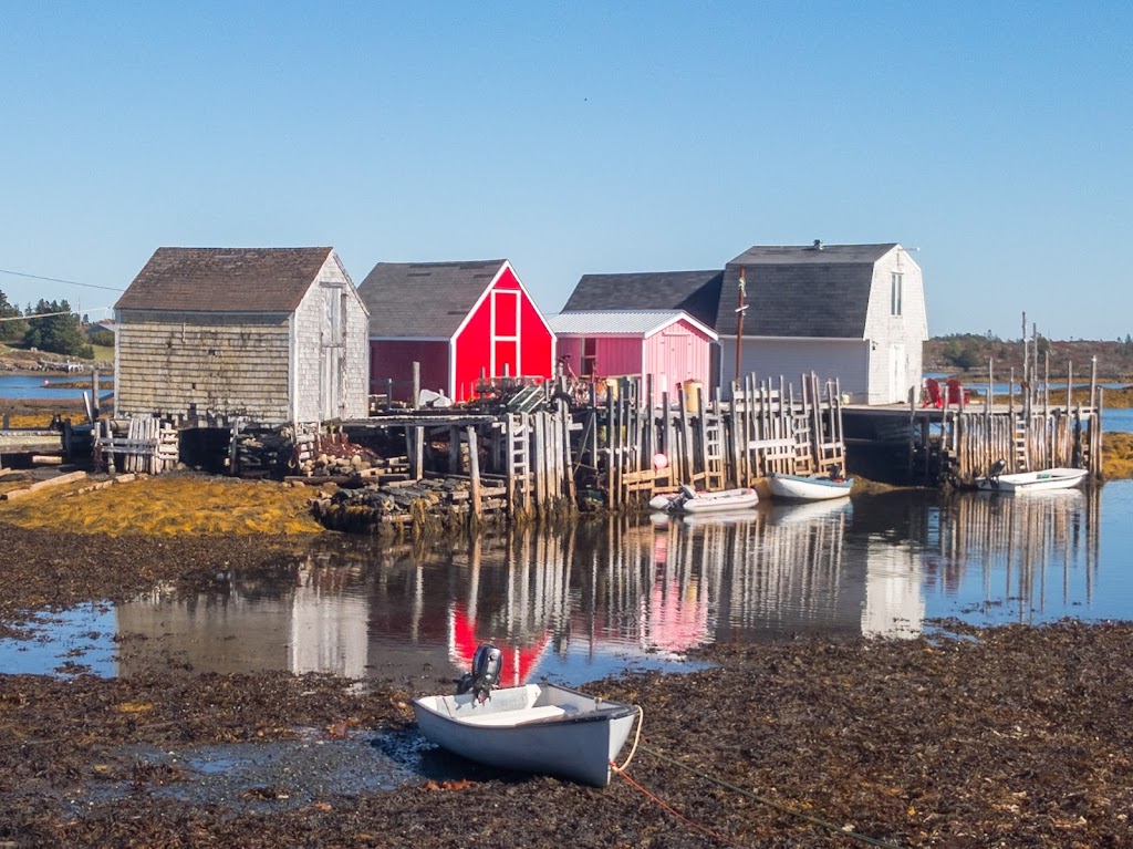 Seaweed Tours Lunenburg N.S. | 60 Bluenose Dr, Lunenburg, NS B0J 2C0, Canada | Phone: (902) 529-1052