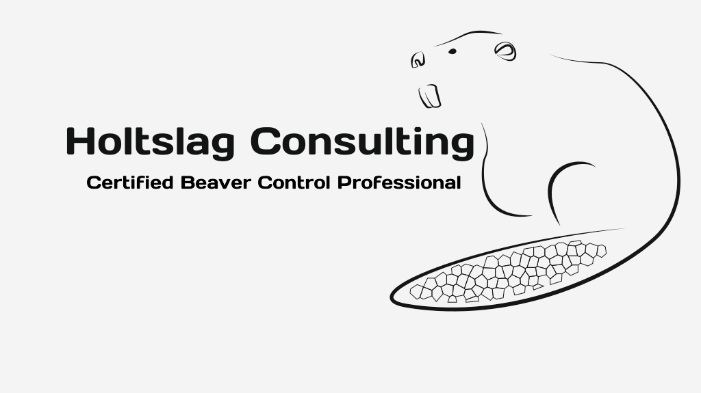 Holtsalg Consulting | 1024 Heequis Pl, Port Alberni, BC V9Y 8Y1, Canada | Phone: (250) 735-3757