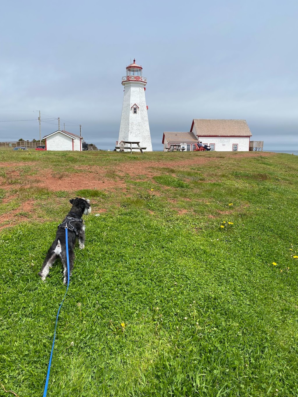 East Point Lighthouse Craft Shop | 404 Lighthouse Rd, Elmira, PE C0A 2B0, Canada | Phone: (902) 969-8487