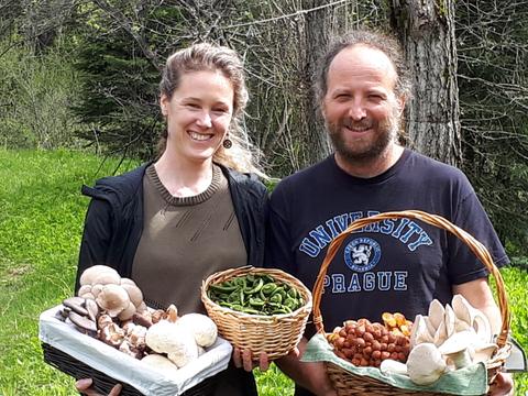 Violon et Champignon | 1047 Ch. 3e Rang, Sainte-Lucie-des-Laurentides, QC J0T 2J0, Canada | Phone: (418) 525-8635