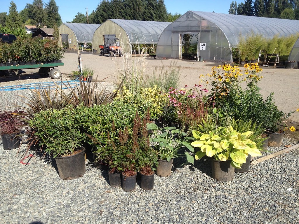 Dinesen Nurseries Ltd | 2110 272 St, Aldergrove, BC V4W 2R1, Canada | Phone: (604) 856-2290