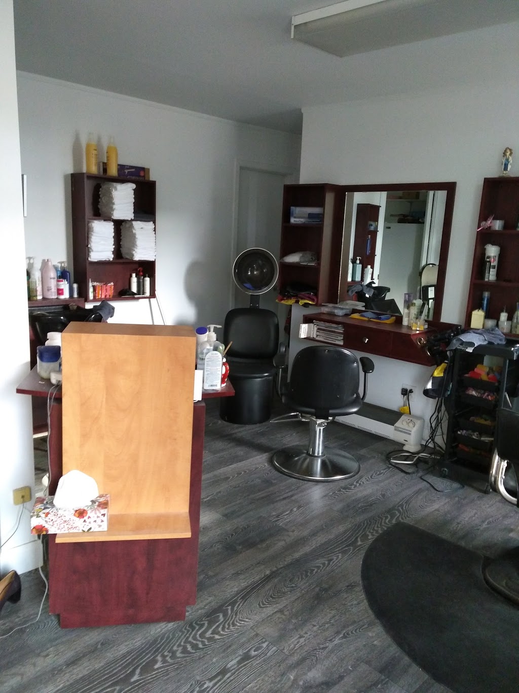 Diane Dumais Coiffure | 24 Rue Bolduc, Lévis, QC G6V 2K6, Canada | Phone: (418) 837-7506