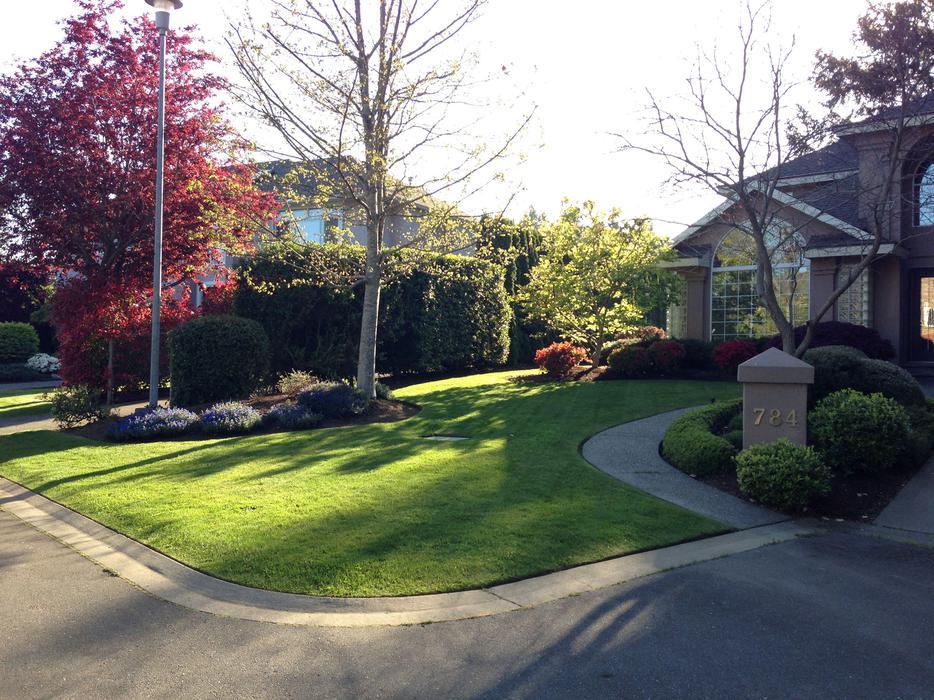 VI Landscaping | 776 Murphy Pl, Victoria, BC V8Y 3H4, Canada | Phone: (250) 893-5445