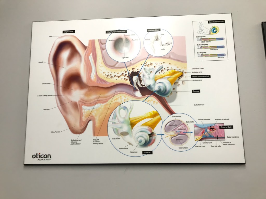 Resonance Hearing Clinic - Lake Cowichan | 44 Stanley Rd, Lake Cowichan, BC V0R 2G0, Canada | Phone: (250) 749-4440