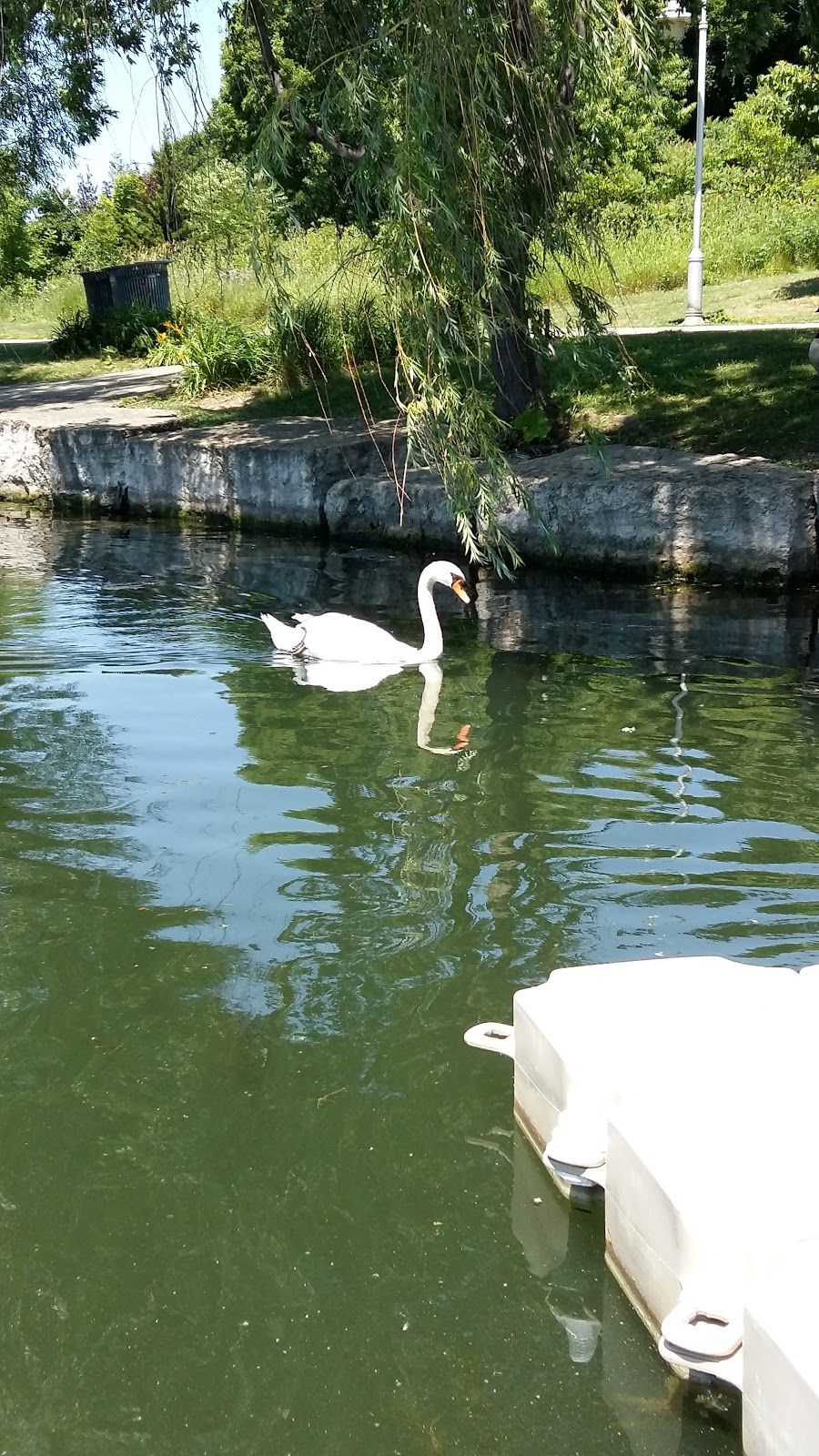 Boat launch ramp-Bayfront Park | 1C8,, Harbour Front Dr, Hamilton, ON L8L 1C8, Canada | Phone: (905) 546-2489