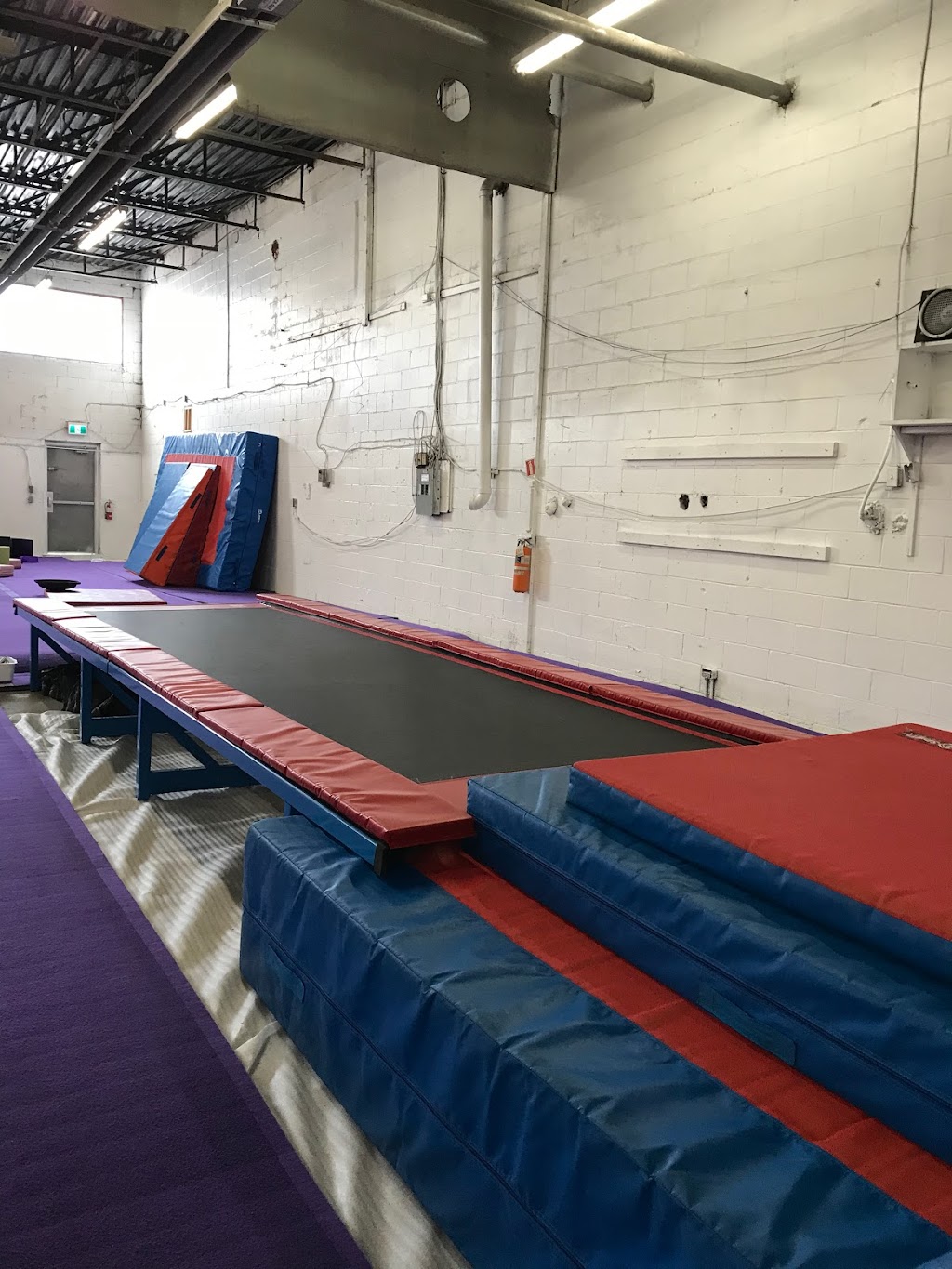 Precision Gymnastics | 3326 Limebank Rd, Ottawa, ON K1V 1H2, Canada | Phone: (613) 608-9002