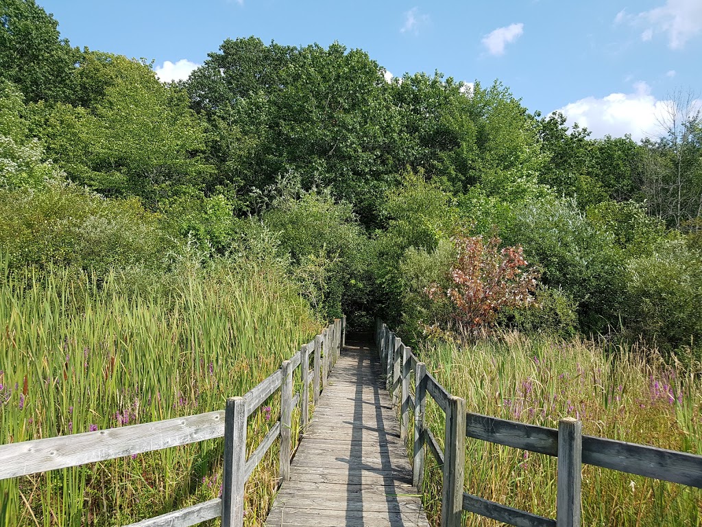 Beaver Trail | Moodie Dr, Nepean, ON K2R 1H8, Canada