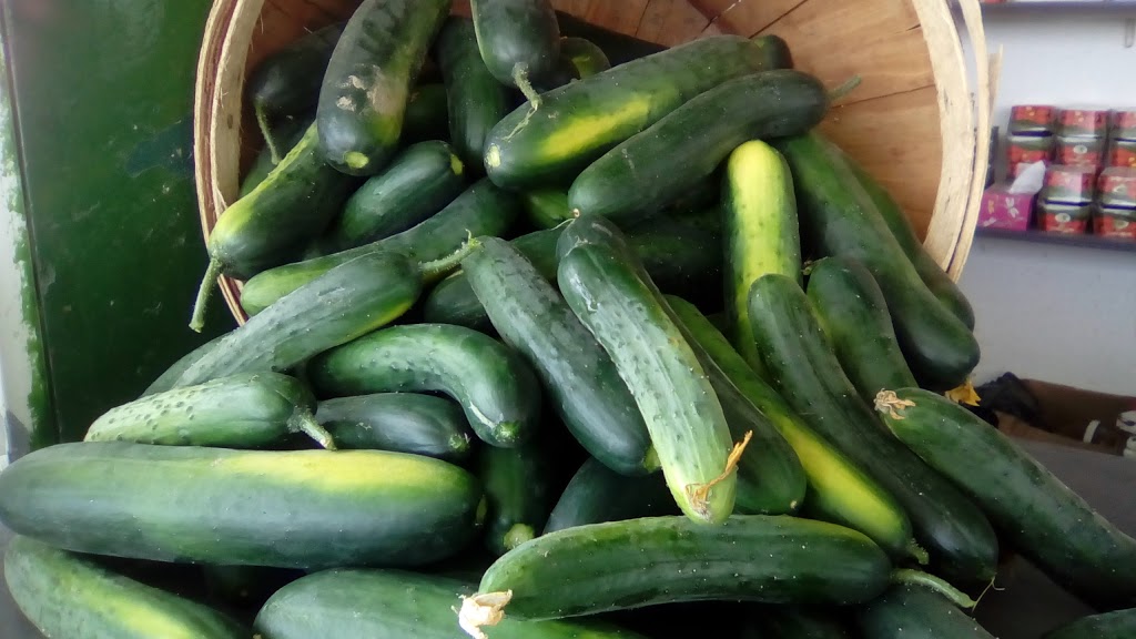 Les Légumes Charbonneau | 133 Chemin du Vide, Sainte-Angèle-de-Monnoir, QC J0L 1P0, Canada | Phone: (450) 460-7567