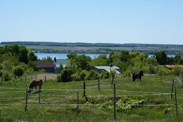 Acandémie équestre Le Havre | 885 Chem. Royal, Saint-Jean-de-lÎle-dOrléans, QC G0A 3W0, Canada | Phone: (418) 829-0481