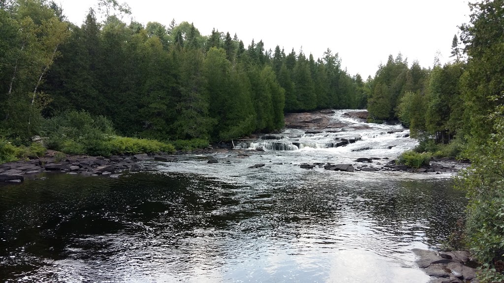 Wildlife Mastigouche | Rang des Pins-Rouges, Saint-Alexis-des-Monts, QC J0K 1V0, Canada | Phone: (800) 665-6527