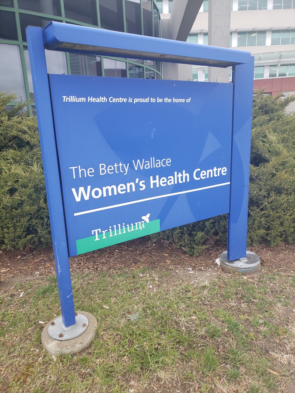Betty Wallace Womens Health | 150 Sherway Dr, Etobicoke, ON M9C 1A4, Canada | Phone: (416) 521-4031