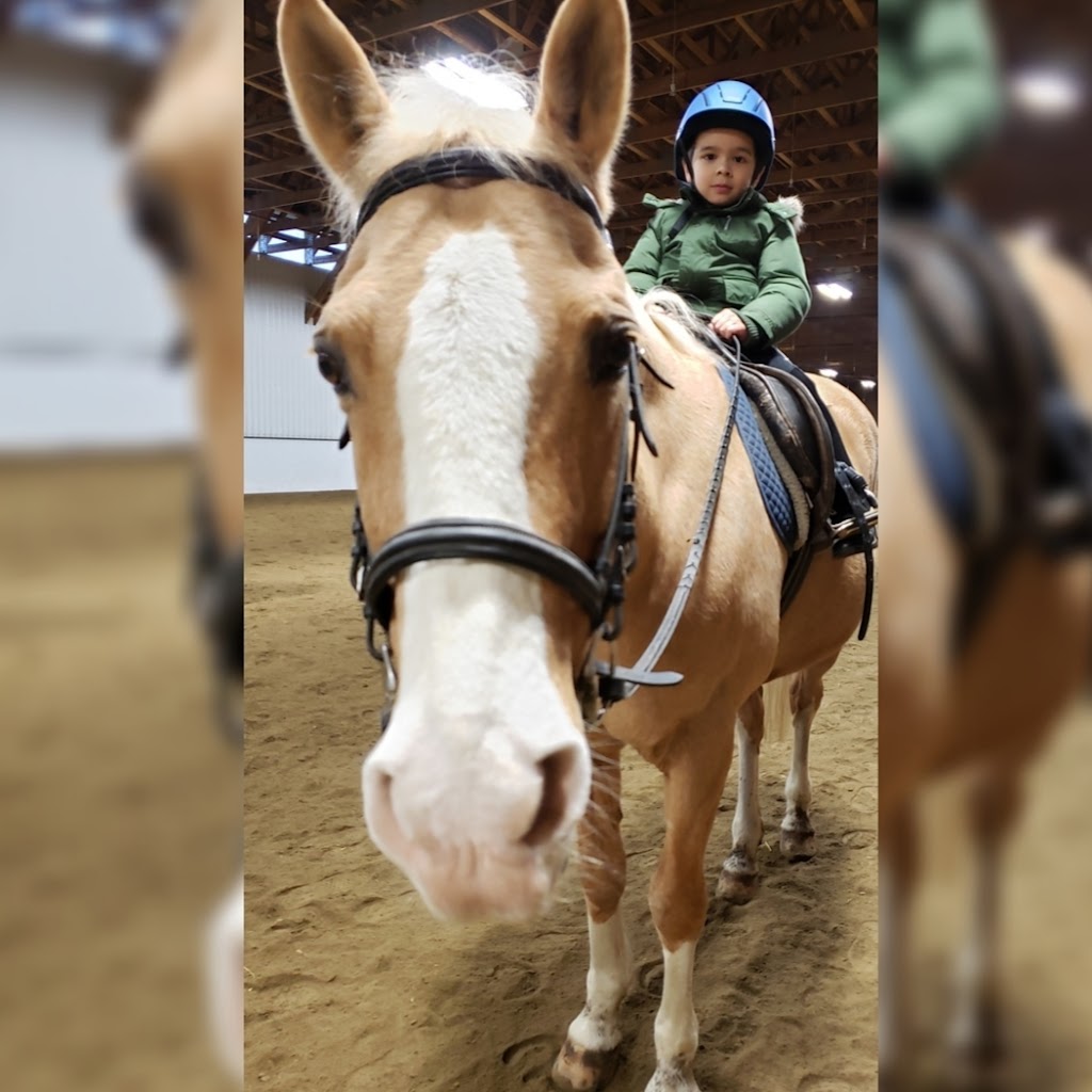 A & T Equestrian Centre | 4615 190 St, Surrey, BC V3Z 1B2, Canada | Phone: (604) 574-3211