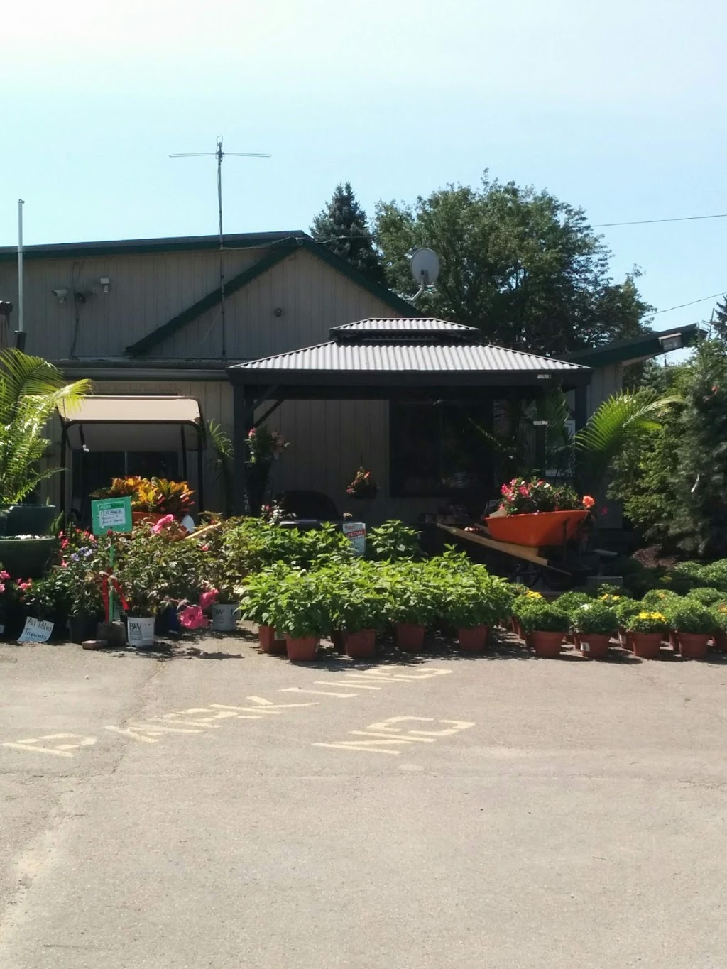 Ryerses Flowers | 777 Norfolk St N, Simcoe, ON N3Y 3R6, Canada | Phone: (519) 426-0711