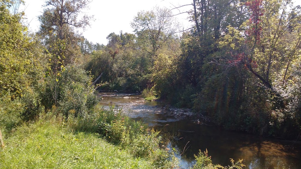 Bee Space @ the Kortright Centre | Woodbridge, Vaughan, ON L4L 1A6, Canada