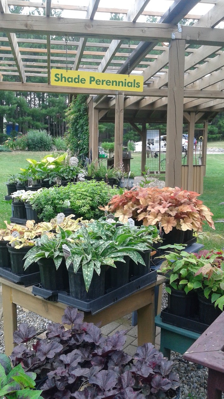 Plant Paradise Country Gardens | 16258 Humber Station Rd, Caledon East, ON L7E 0Y9, Canada | Phone: (905) 880-9090