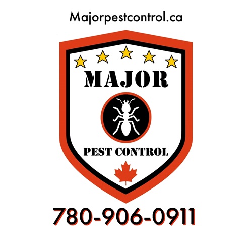 Major Pest Control Edmonton | 11307 143 St NW, Edmonton, AB T5M 3P8, Canada | Phone: (178) 090-60911