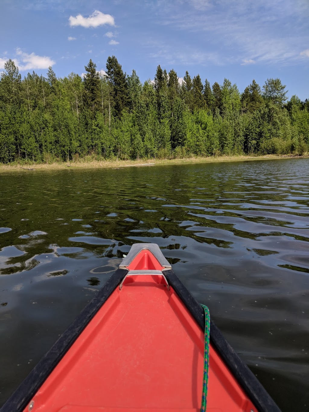 Alford Lake Conservation Education Centre for Excellence | Caroline, AB T0M 0M0, Canada | Phone: (403) 722-2423