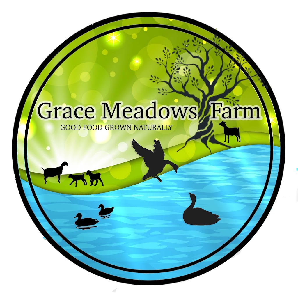 Grace Meadows Farm | 3198 Concession Dr, Glencoe, ON N0L 1M0, Canada | Phone: (519) 289-2889