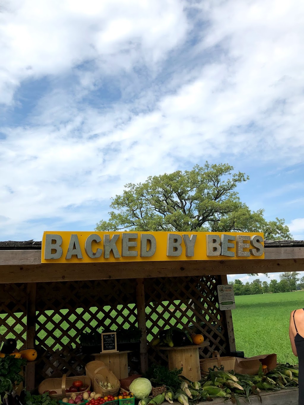 Backed By Bees | 6214 Appleby Line, Burlington, ON L7M 0P7, Canada | Phone: (905) 320-6214