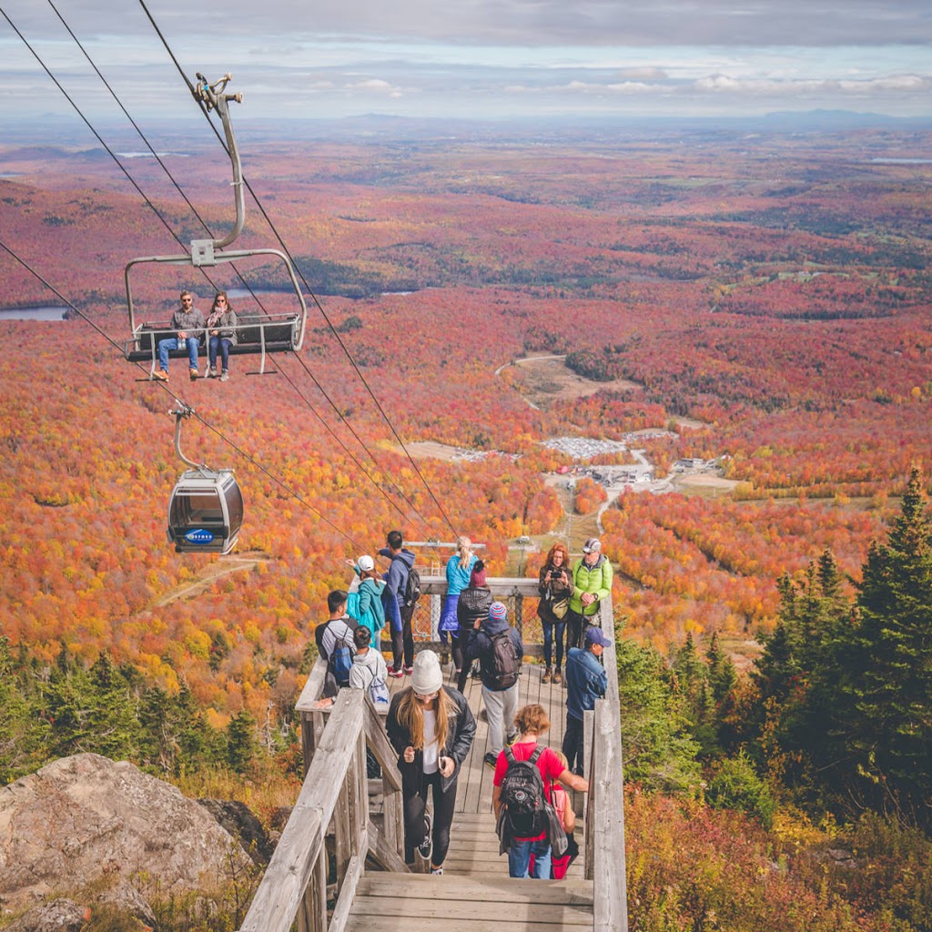 Le Réseau Longpré Lamirande | 250 Rue Principale O, Magog, QC J1X 2A5, Canada | Phone: (819) 868-1802