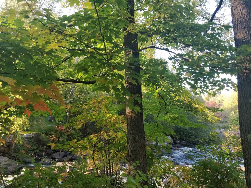 Parc des amoureux | Chemin de la Rivière, Val-David, QC J0T, Canada