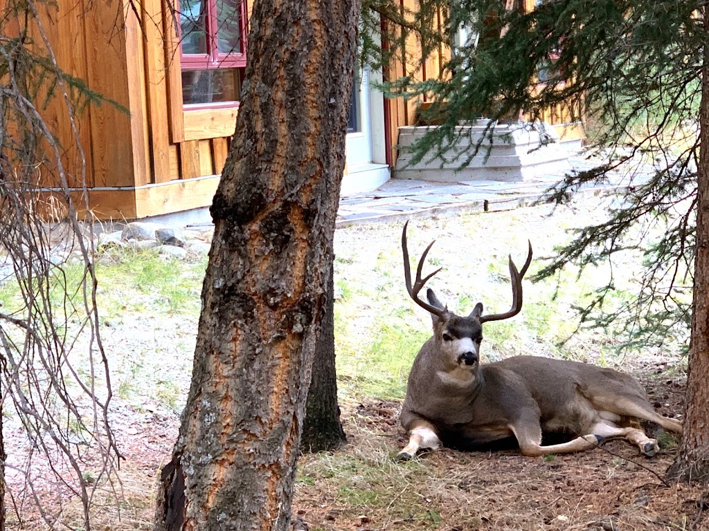 Lloyd Hall Hotel | 107 Tunnel Mountain Dr, Banff, AB T1L, Canada, Canada | Phone: (403) 762-6148