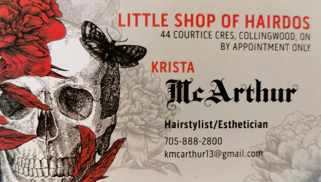 Little Shop of Hairdos | 44 Courtice Crescent, Collingwood, ON L9Y 4G1, Canada | Phone: (705) 888-2800
