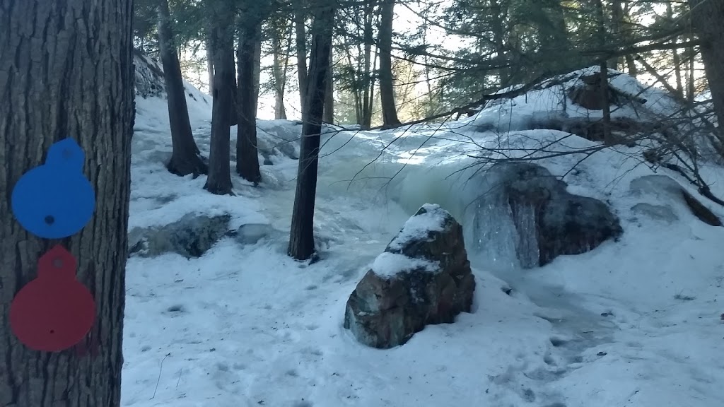 Cranberry Bog Trail | Killarney, ON P0M, Canada | Phone: (705) 287-2900