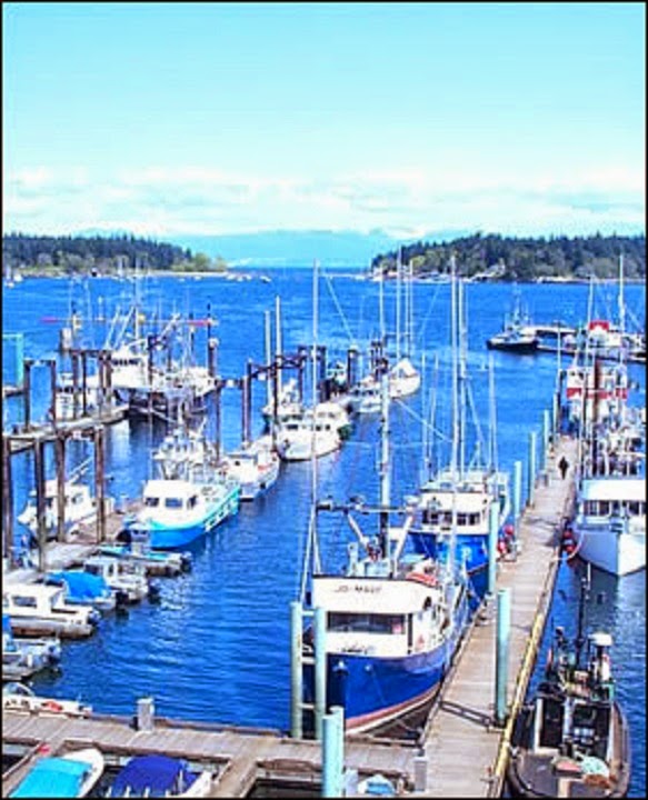 Hammond Bay Oceanside Bed & Breakfast | 3804 Hammond Bay Rd, Nanaimo, BC V9T 1G3, Canada | Phone: (250) 751-1409