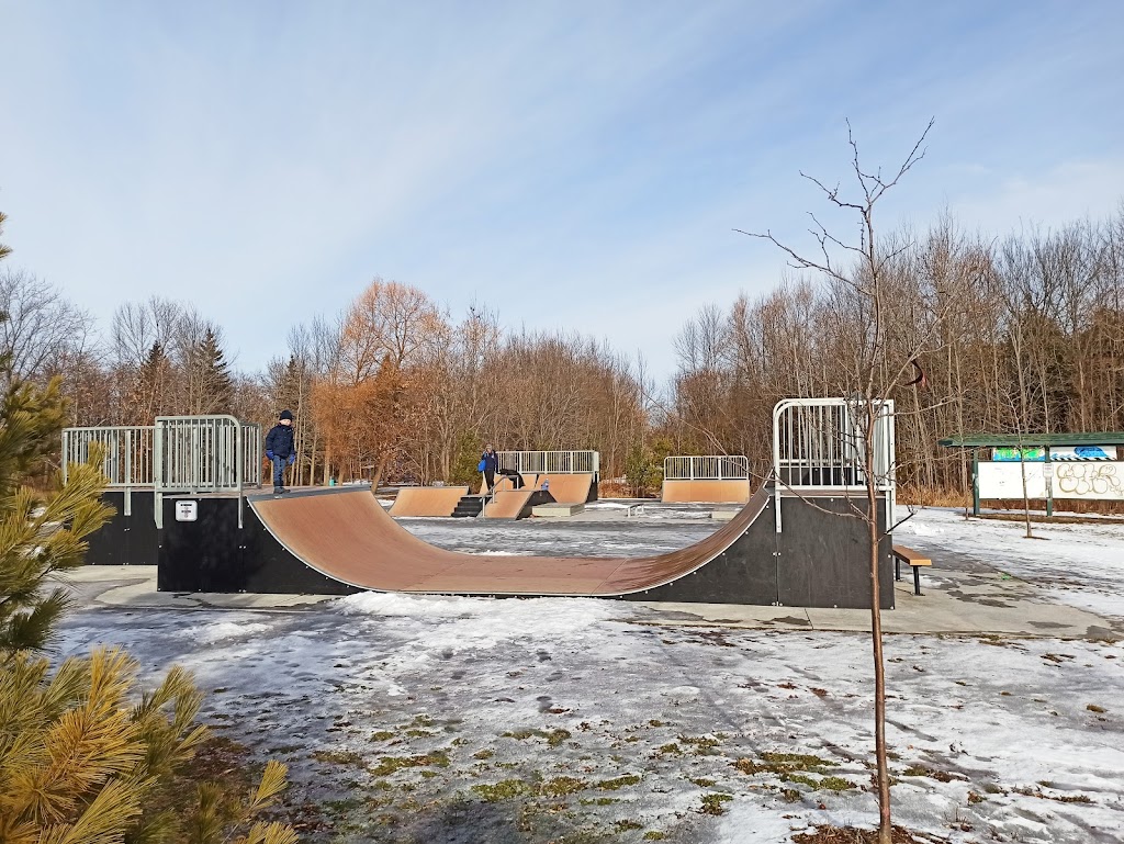 The Wave (Selwyn Skateboard Park) | 20 Concession St, Lakefield, ON K0L 2H0, Canada | Phone: (705) 292-9507