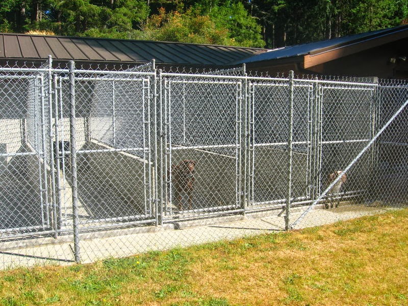 Dogwood Boarding Kennels | 1830 Millstream Rd, Victoria, BC V9B 6E3, Canada | Phone: (250) 478-0073